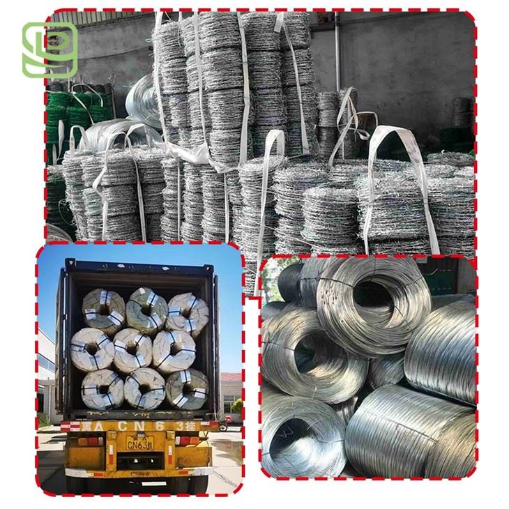 Coiled Barbed Wire