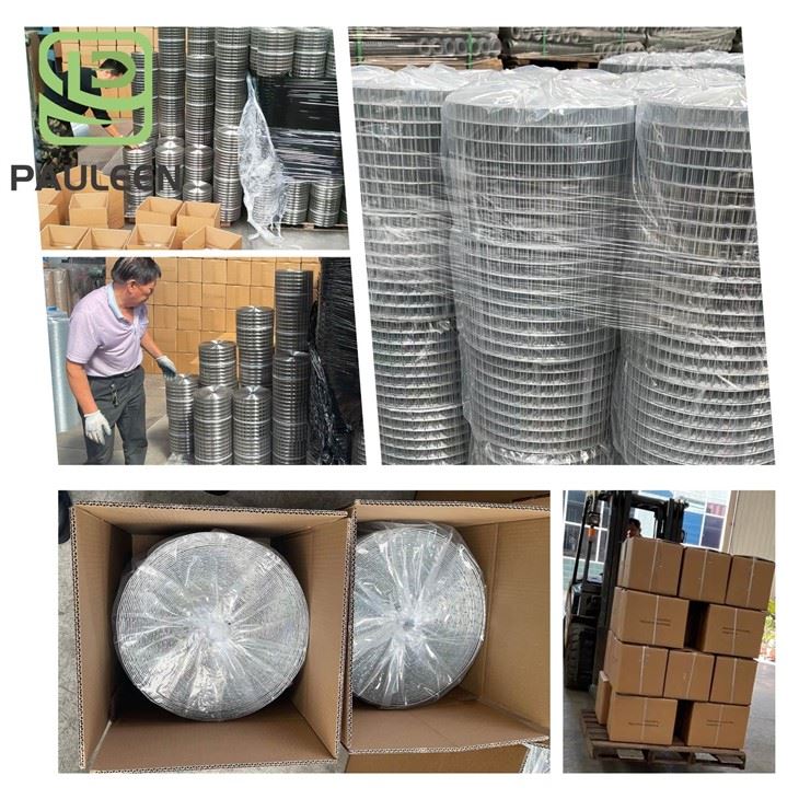 Galvanized Bird Pest Control Mesh high quality