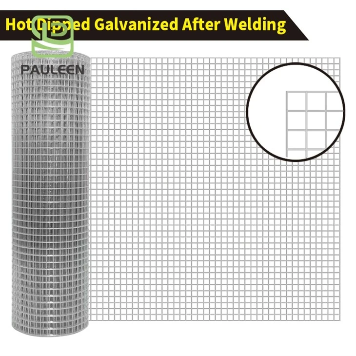 Stainless Steel Welded Wire Mesh Rolls